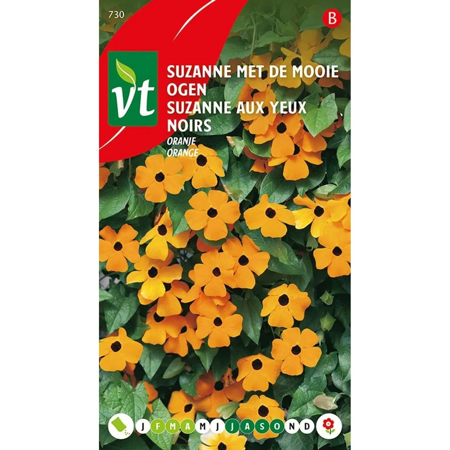 Arborix Schwarzäugige Susanne Samen für orangefarbene Blüten, 0,75 g - Bild 2