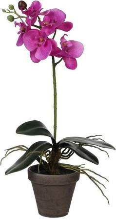 Mica Decorations Kunstpflanze Phalaenopsis Orchidee in Violett, Topf Durchmesser: 13 cm, Höhe: 48 cm