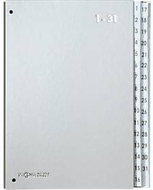 PAGNA Pultordner für DIN A4 mit 32 Fächern in Silber Metallic - Bild 2