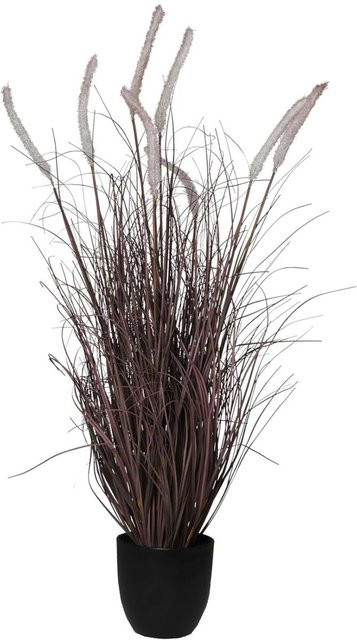Vivanno Kunstpflanze Ruba in Rot, B/T/H: 50 x 50 x 100 cm - Bild 1