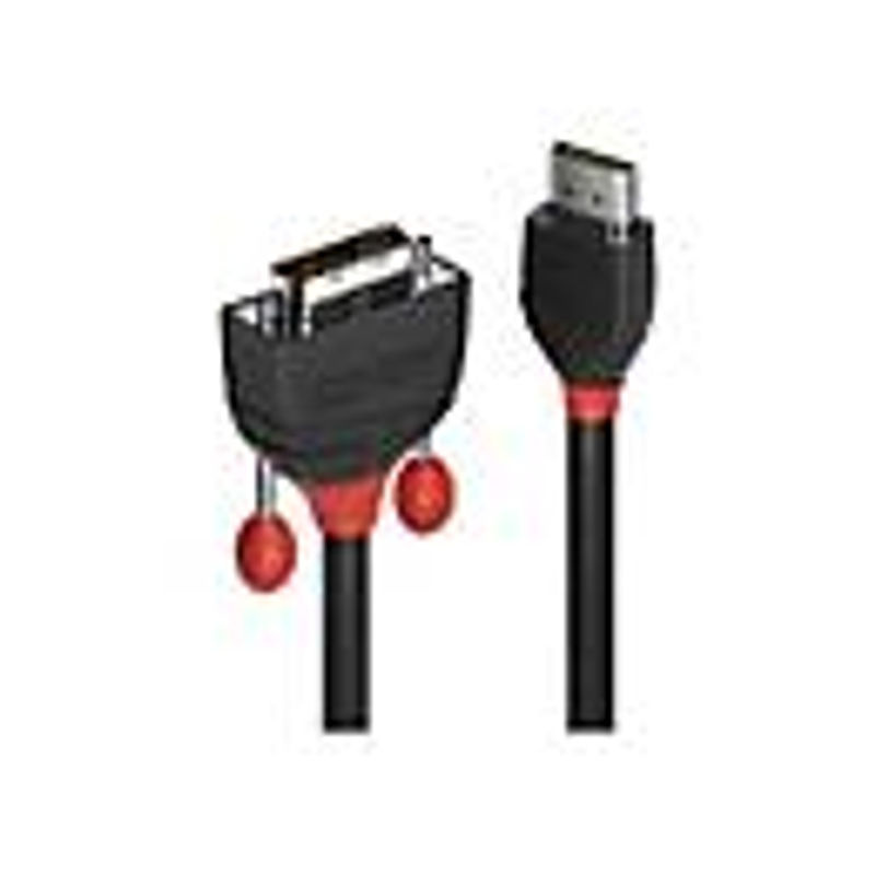 Lindy HDMI auf DVI-D Adapterkabel Schwarz 10,00 m - Bild 4
