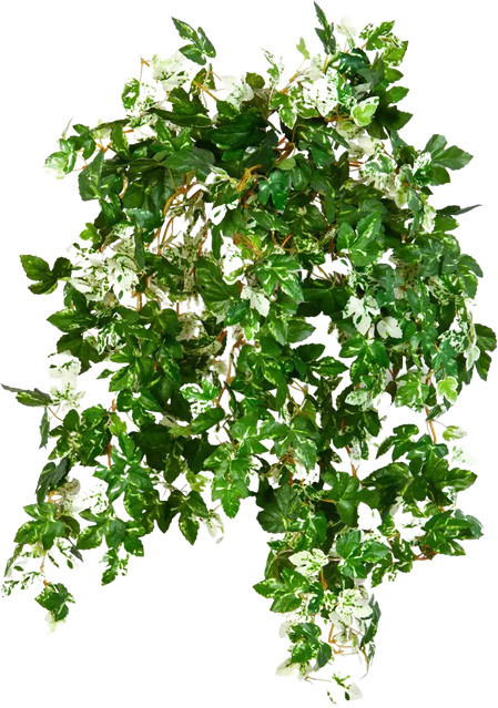 Künstliche Ampelopsis Elia von Aplanta in Grün als Hängepflanze - Bild 1