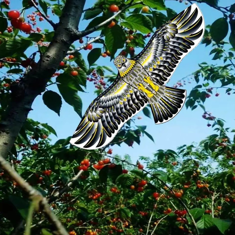 Anti Bird Flying Hawk Kite Adlerdrachen als Vogelscheuche und Lockvogel zur Schädlingsbekämpfung in Grün und Multicolour - Bild 3