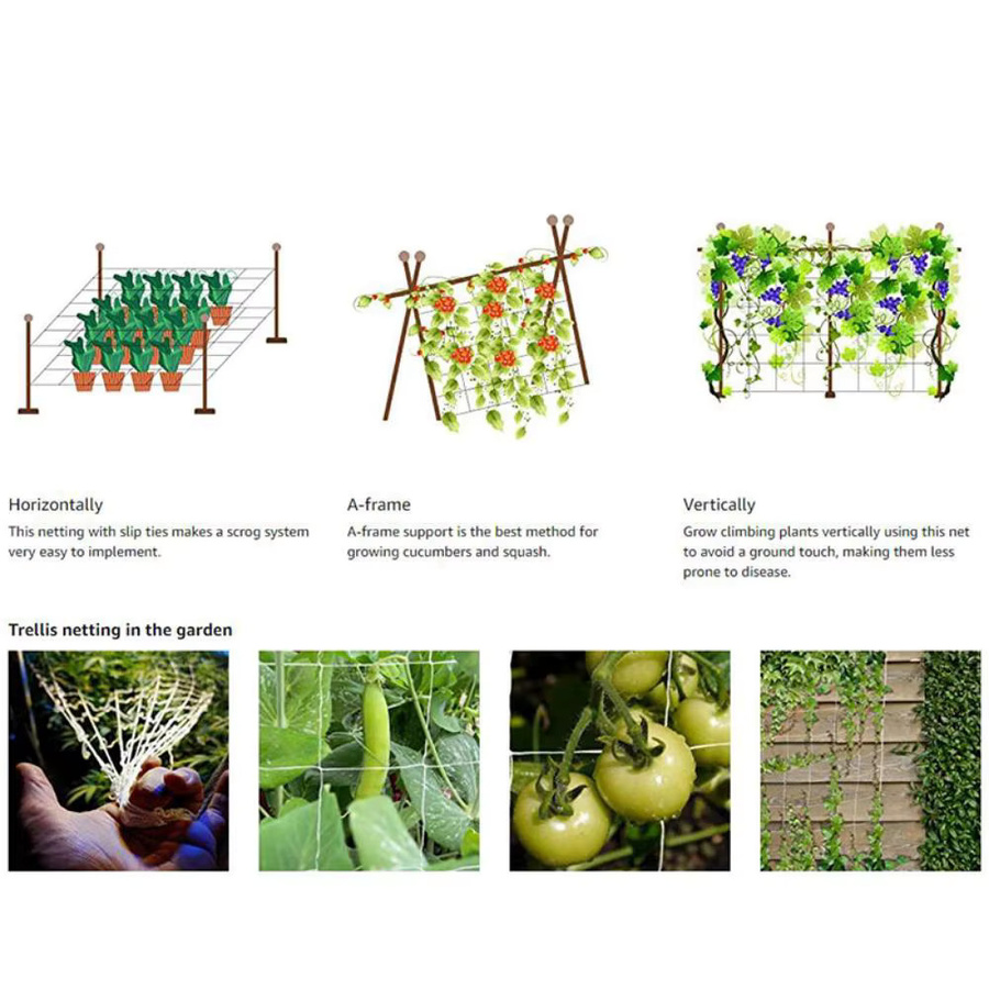 Kletternetz aus Polyester in Weiß als Rankhilfe für Gartenpflanzen wie Tomaten, Bohnen und Trauben - Bild 4