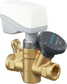 Oventrop Zirkulationsventil Aquastrom TD DN 20, G 1, m AG, Messing in Gold/Brushed Brass - Bild 1