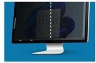 Kensington Privacy Screen Filter 2-Way für 24,5 Zoll 16:9 Monitore in Schwarz und Transparent - Bild 1
