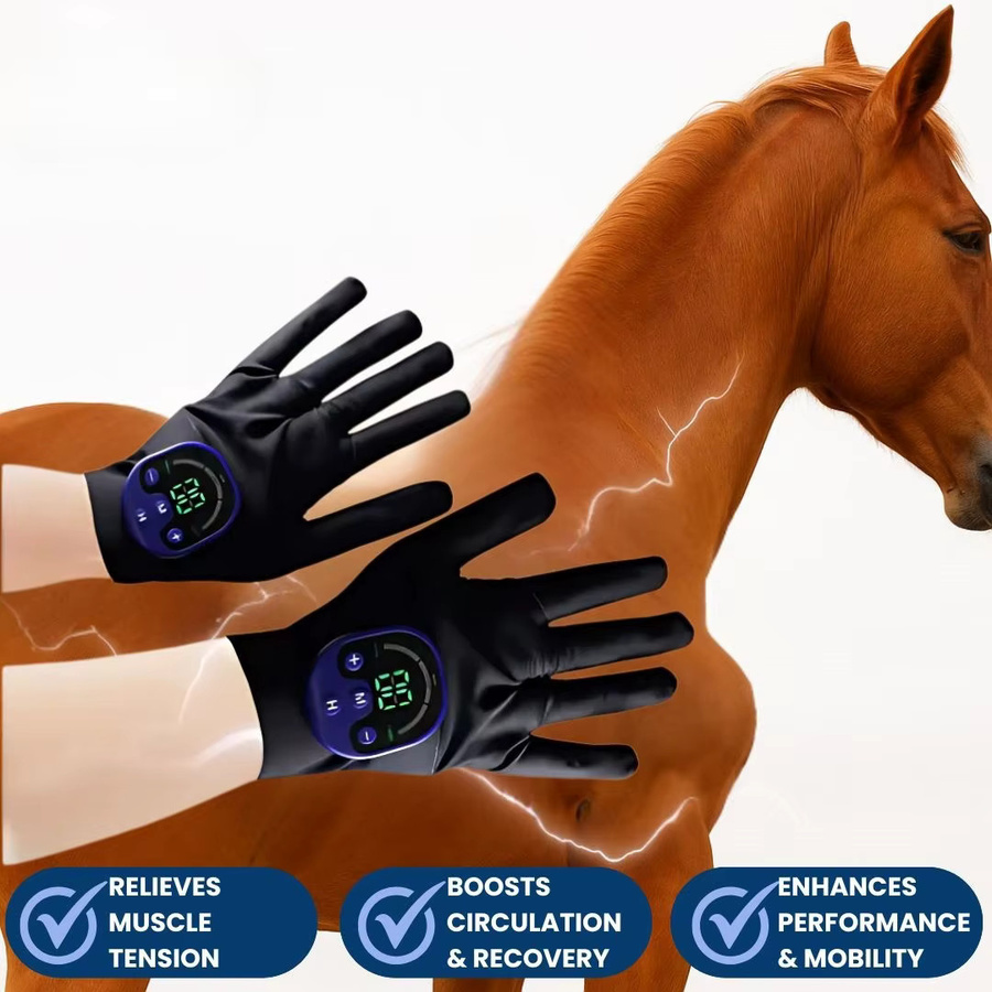 emsa EMS-Handschuhe für Pferde zur elektrischen Muskelstimulation in Schwarz - Bild 2