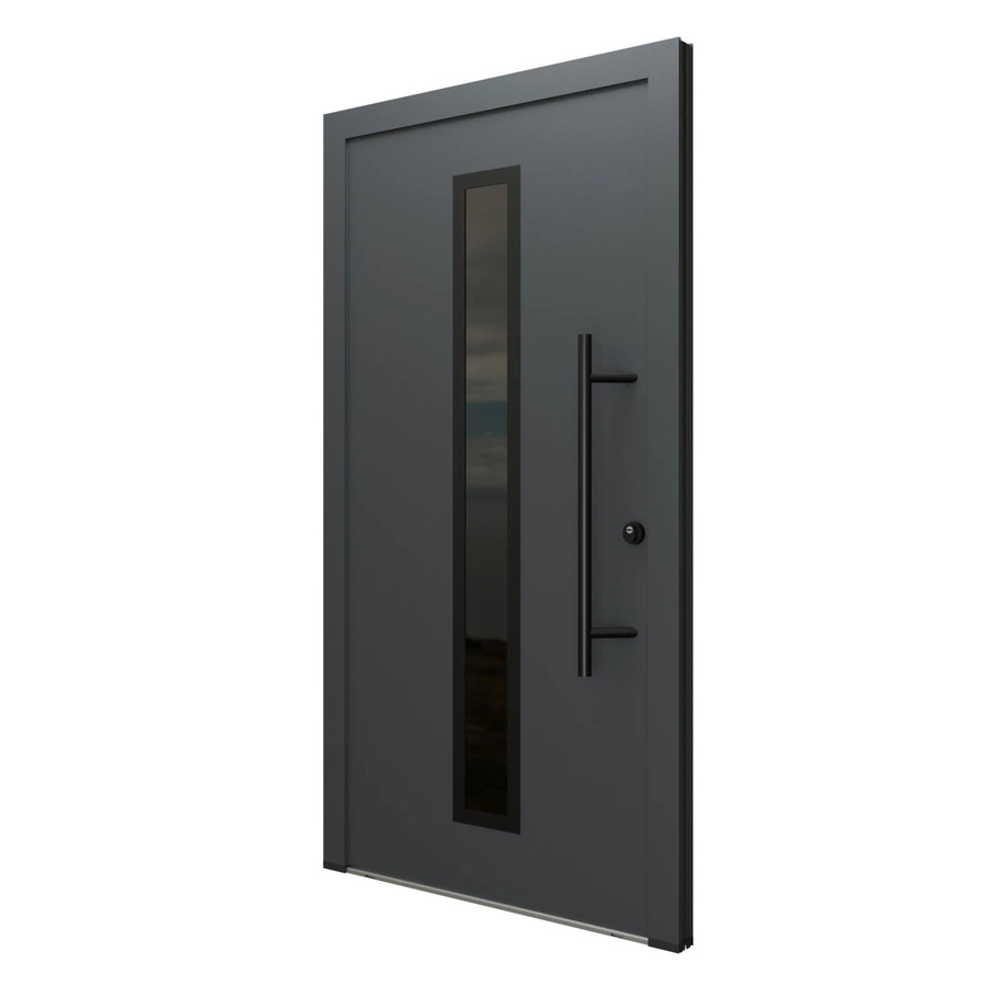 FM Türen Innenbeschläge Set AS68 Modell 21 mit Glaseinsatz in Anthrazit, Rechts, B: 110 cm, H: 210 cm - Bild 2
