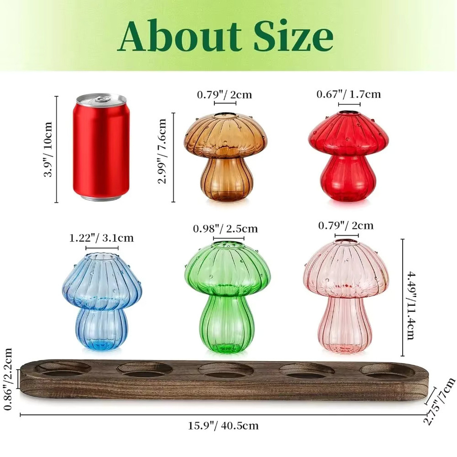 Glasseam Pilz-Pflanzenvermehrungsstation mit Glasvasen und Holzständer, hydroponisches Pflanzgefäß für Zuhause und Büro, transparent - Bild 4