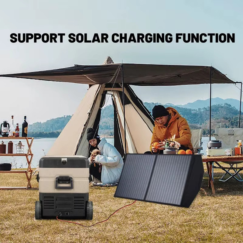 Alpicool Camping-Kühlbox TAW35 mit zwei Zonen, 36,7 l, für Auto und Zuhause, 12V/24V - Bild 3