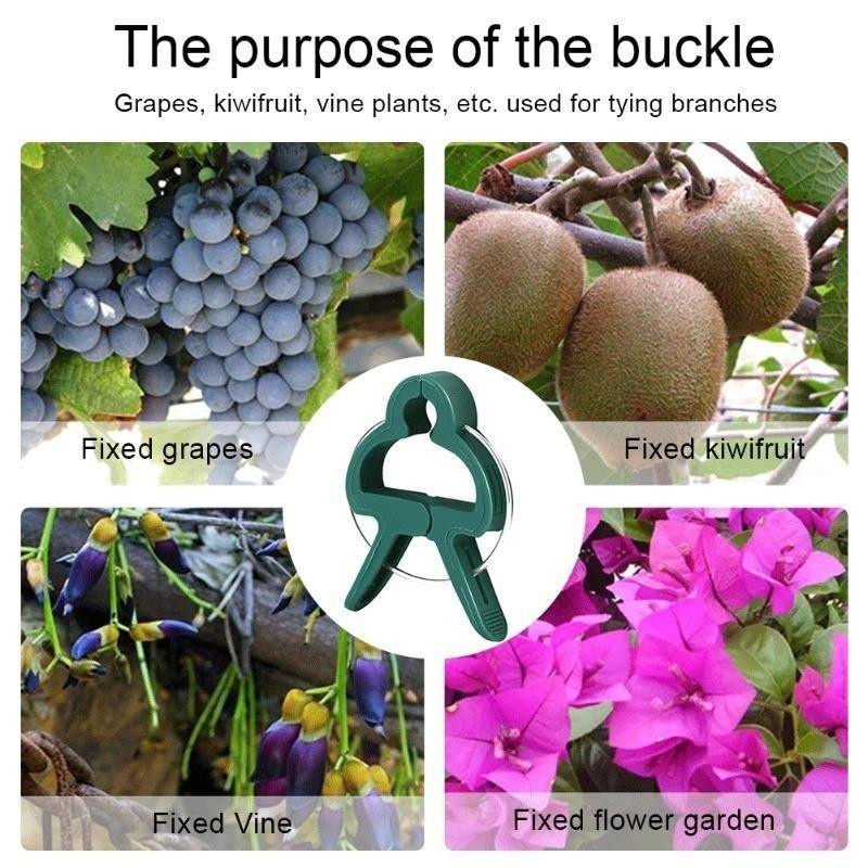 100 Stück verstellbare Pflanzenfixierclips von YWZT Home Depot in Grün zur Befestigung von Blumen, Ranken und Tomaten im Garten - Bild 9