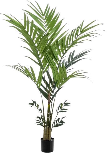 Künstliche Kentia Palme Nathalie von Aplanta, Höhe: 180 cm - Bild 1