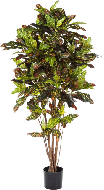 Künstlicher Croton Oriana von Aplanta, grüne Pflanze, Höhe: 180 cm - Bild 1