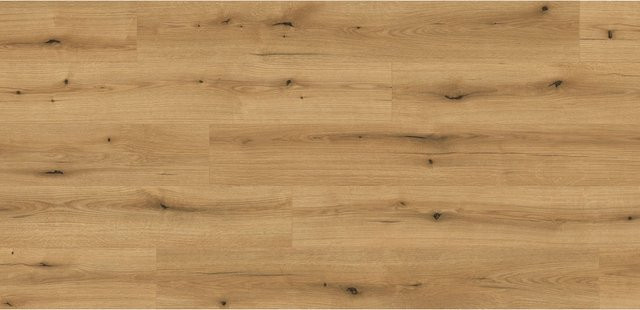 Kaindl Excellent Aqua Laminat Eiche Evoke Coast wasserfest 8 mm Dicke - Bild 1