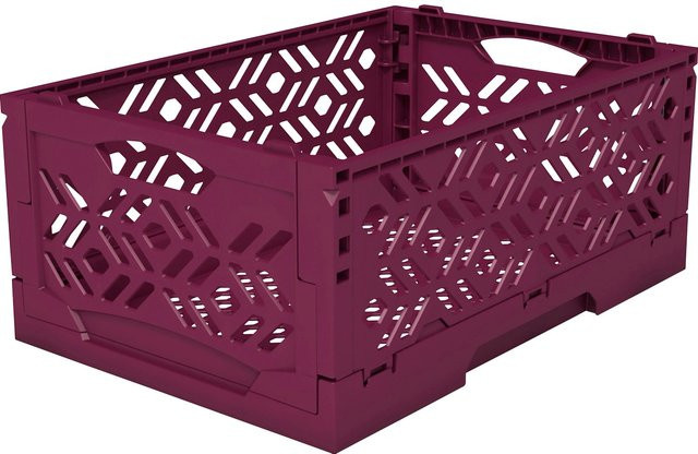 Eurobox-System Klappbox Mini in Brombeere Purple - Bild 1