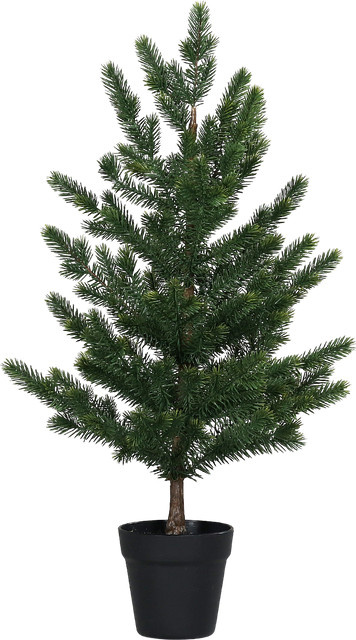 Künstlicher Weihnachtsbaum Tina von Aplanta, Höhe: 75 cm - Bild 1