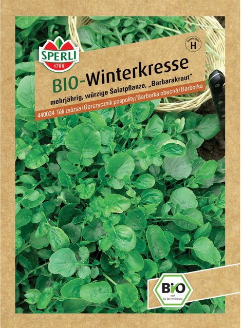 Sperli Bio Winterkresse Barbarakraut - Bild 1