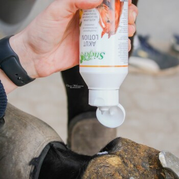 Stiefel Akutlotion Körperpflege, 250 ml, Unisex - Bild 2
