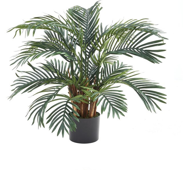Künstlicher Palmfarn Alamea von Aplanta, Höhe: 75 cm - Bild 1