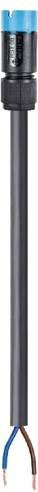 Wieland Electric Anschlussleitung Schwarz 4L.427.3034.9 - Bild 1