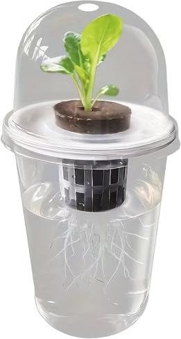 Pavo Hydroponische Pflanzen Anzuchttasse mit Haube aus Kunststoff, transparent, ideal für Kräuter- und Gemüsegärten - Bild 1