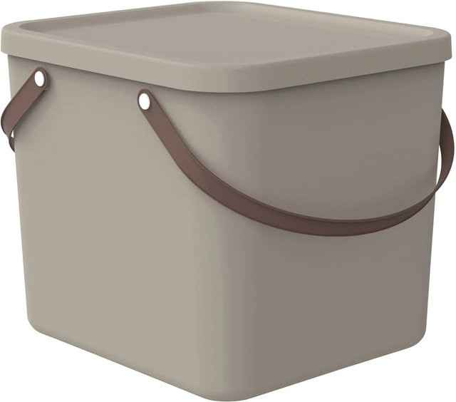 Rotho Multibox Albula 40 Aufbewahrungsbox mit Griffen in Cappuccino/Beige - Bild 1