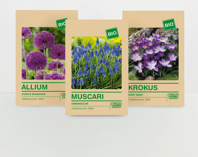 BIO Blumenzwiebel Set von BLUME2000 mit 30 Zwiebeln für den Garten - Bild 1