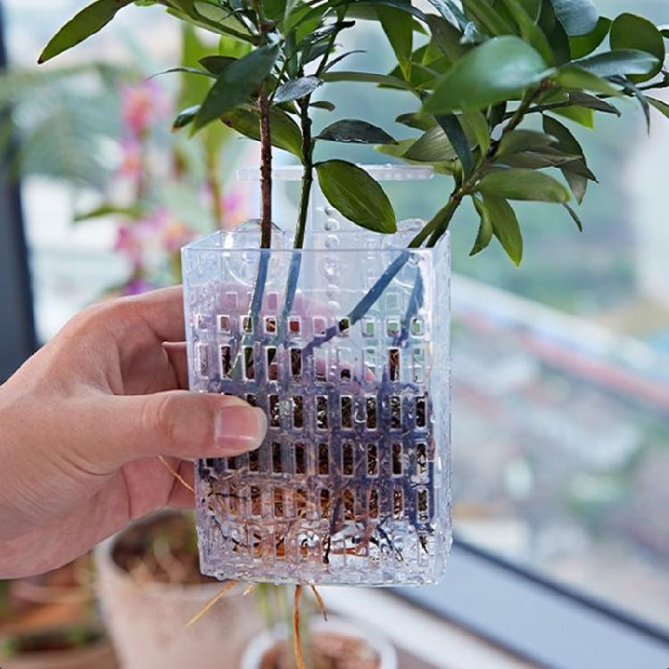 Wandhängender Pflanzkorb im antiken Stil für Aquascaping und Heimbegrünung in Titanium aus Kunststoff - Bild 4