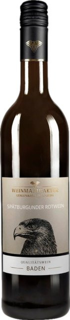 Weinmanufaktur Gengenbach-Offenburg Spätburgunder Rotwein, Baden, 2023, lieblich, 0,75 l - Bild 1