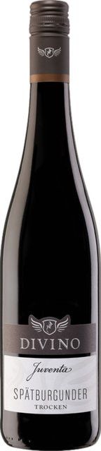 Divino Rotwein Pinot Noir, Franken, 2024, trocken, 0,75 l - Bild 1