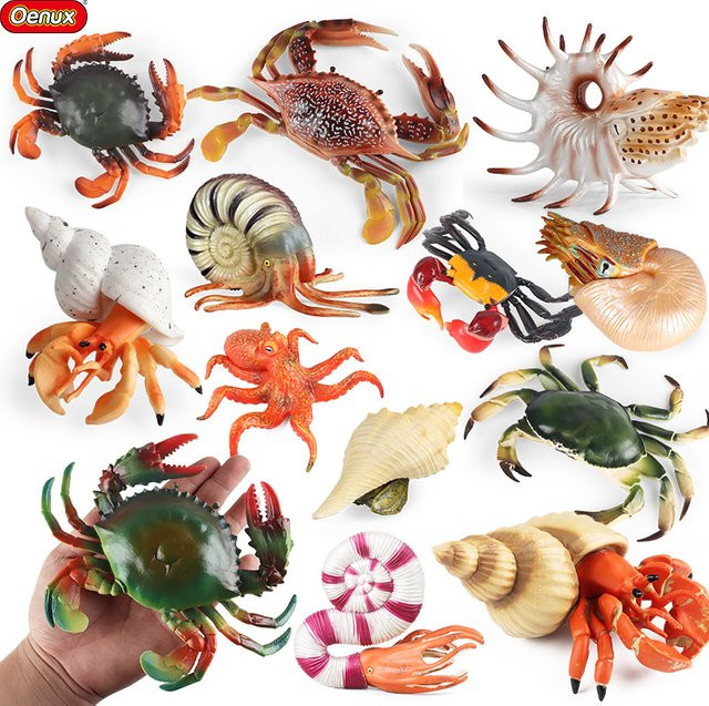 Oenux Meerestiere Nautiloidea Oktopus, Modellfiguren, Actionfiguren - Bild 1