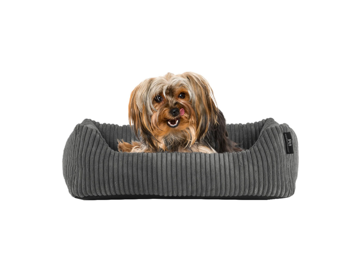 ROHRSCHNEIDER Tierbett Milly Grau aus Cordstoff mit abnehmbarem Bezug und rutschfester Unterseite B/T/H: 55 x 55 x 15 cm - Bild 2