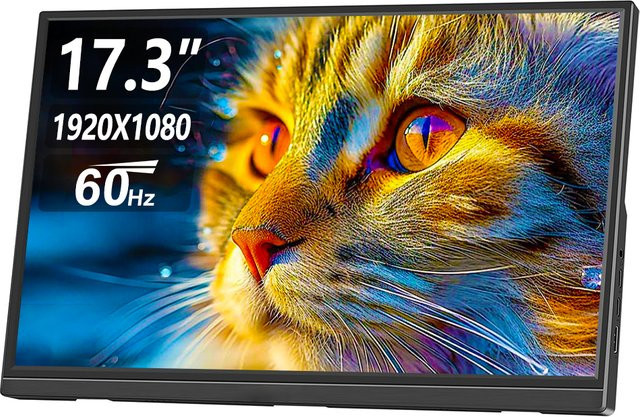 Pisichen Tragbarer 17,3 Zoll Monitor mit USB-C und HDMI, Externer LCD-Bildschirm in Schwarz für PC, Mac, Laptop, Smartphone, Xbox und Switch - Bild 1