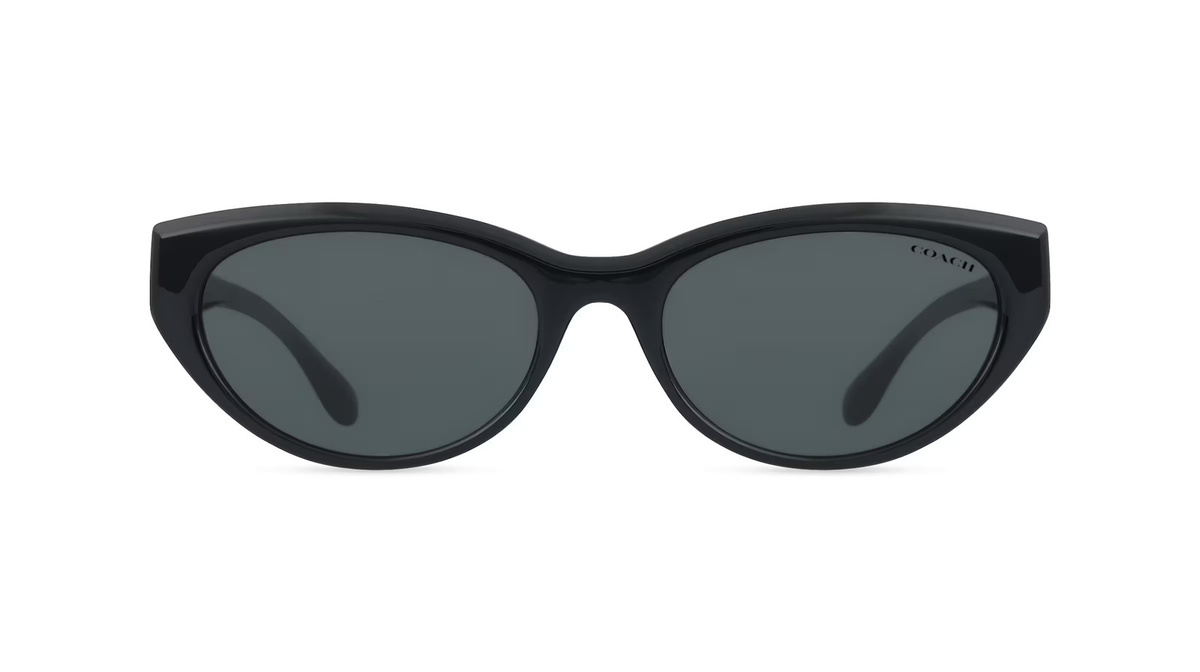 Coach HC8456D Sonnenbrille Damen, Vollrand, quadratisch, Kunststoff, schwarz, grau - Bild 1