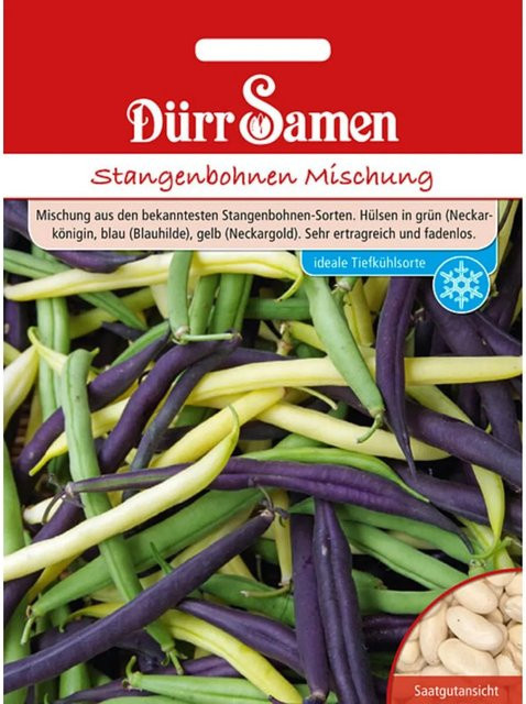 Dürr Stangenbohnen Mischung Saatgut 155 g - Bild 1