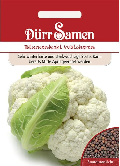 Dürr Blumenkohl Walcheren Saatgut - Bild 1