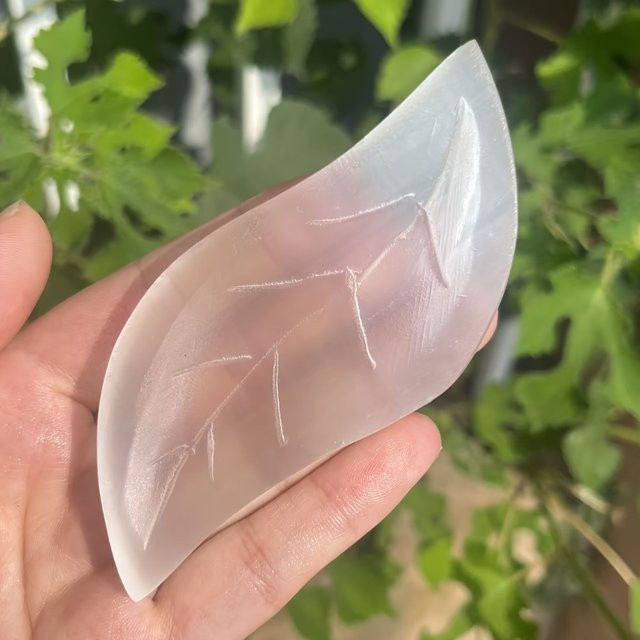 Natürliche Selenitblattschale aus weißem Kristall von CrystalHola - Bild 1