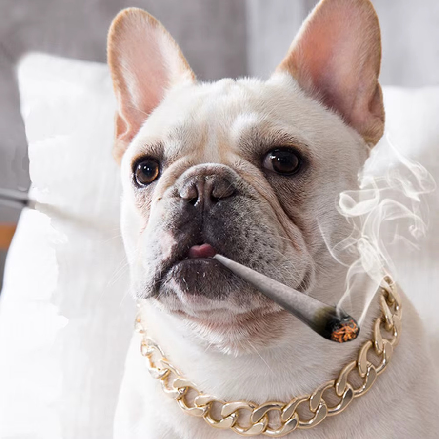 COOYOMOO Hundehalsband Metall, Gold - Bild 2