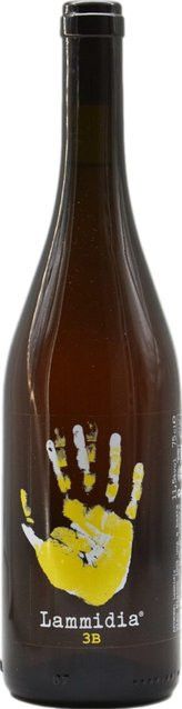Lammidia Trebbiano Weißwein, Abruzzen, 2023, trocken, 0,75 l - Bild 1