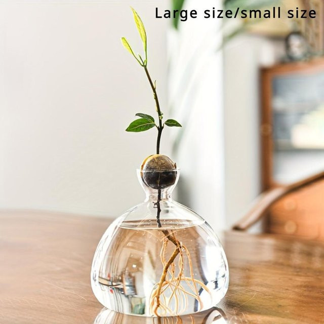 Dekoratives Glas-Pflanzgefäß in Birnenform als Keimsaat-Starter für Eichelbäume, transparent, B/T/H: 10 x 10 x 10 cm - Bild 1