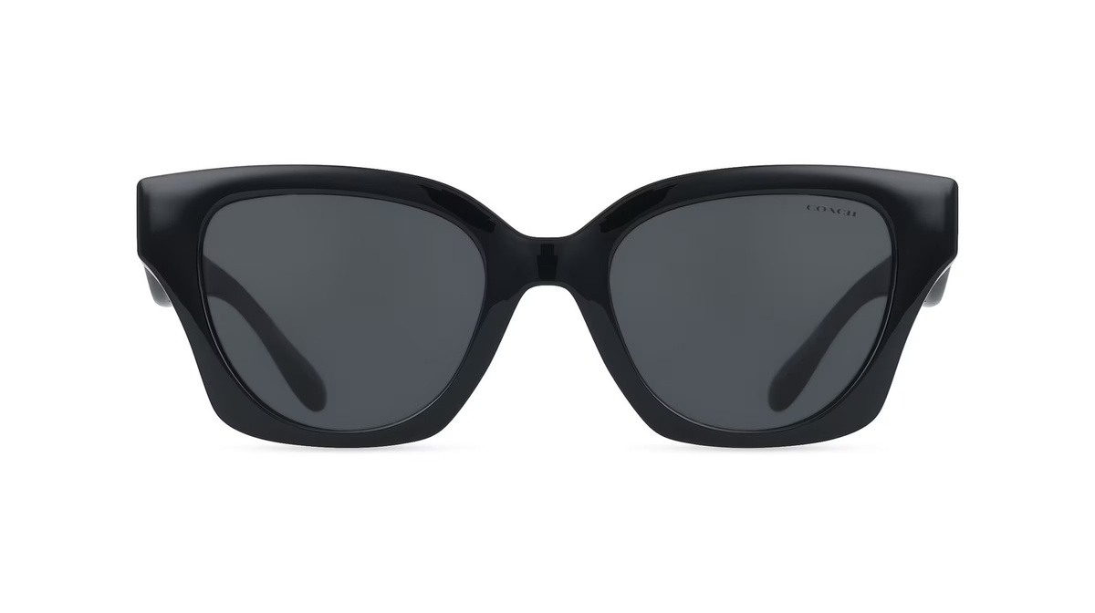 Coach HC8418U Sonnenbrille Butterfly, Vollrand, Kunststoff, Damen, schwarz, grau - Bild 1