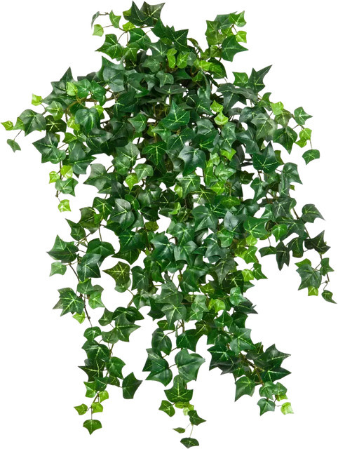 Künstlicher Efeu Emilio von Aplanta, Grün, Höhe: 50 cm - Bild 1