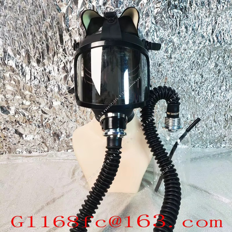 Versilbertes Gebogenes Gasmasken-Set mit Atemschutzbeutel-Linse und Vollgesichtsmaske in Silber und Schwarz - Bild 3
