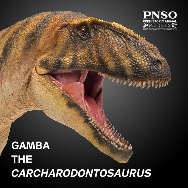 PNSO Carcharodontosaurus prähistorisches Dinosaurier-Modell in Mehrfarbig - Bild 1