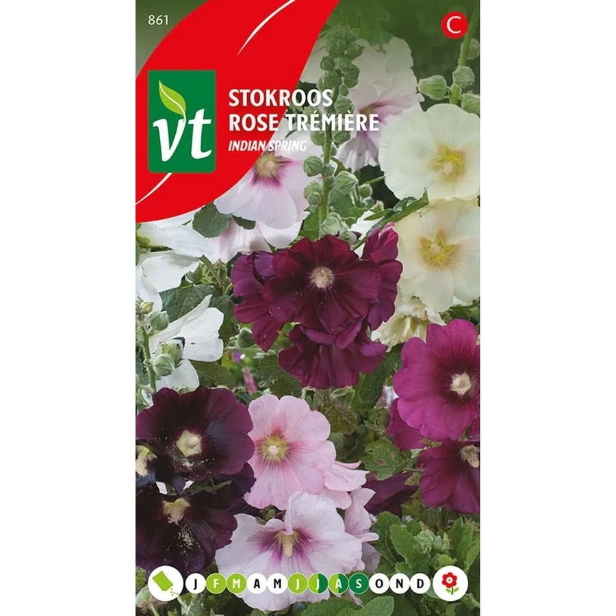 Arborix Stockrose Aubade Samen mit bunten Blüten, 0,2 g - Bild 2