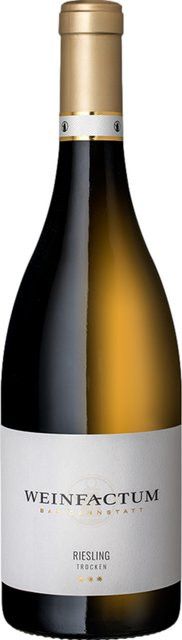 Weinfactum Bad Cannstatt Riesling Weißwein, 2021, trocken, Deutschland, 0,75 l - Bild 1