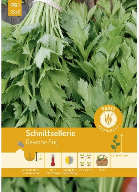 Pabst Schnittsellerie Saatgut Gewone Snij Aromatisch und Ertragreich - Bild 1
