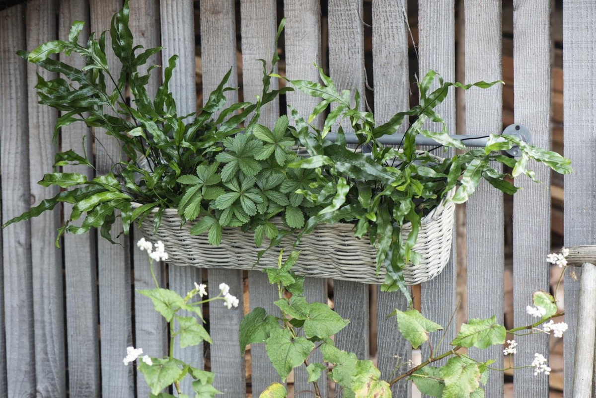 MarieAnn No.25 Blumenkasten als Balkonkorb zum Hängen aus Weide mit Folie, Breite: 60 cm - Bild 1