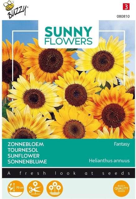 Sonnenblume Fantasy Buzzy Sunny Samen von arborix für Beet und Topf, ca. 1 g - Bild 1