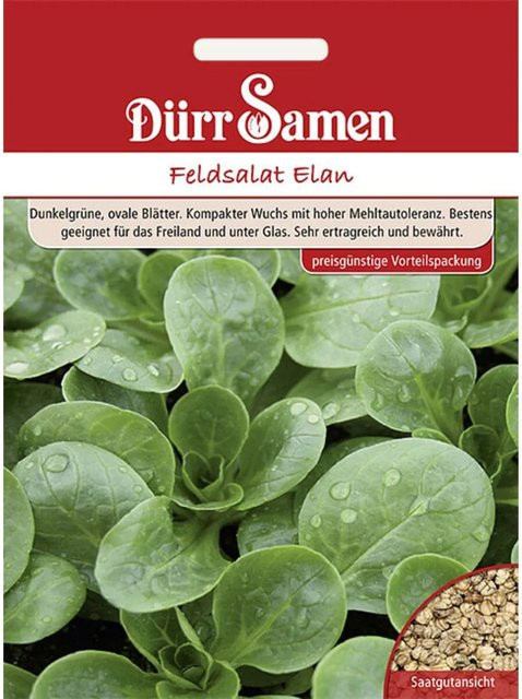 Dürr Feldsalat Elan Saatgut Vorteilspack 7 g - Bild 1